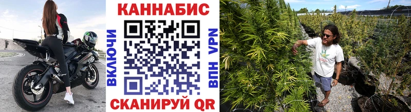 Марихуана план  Пудож 